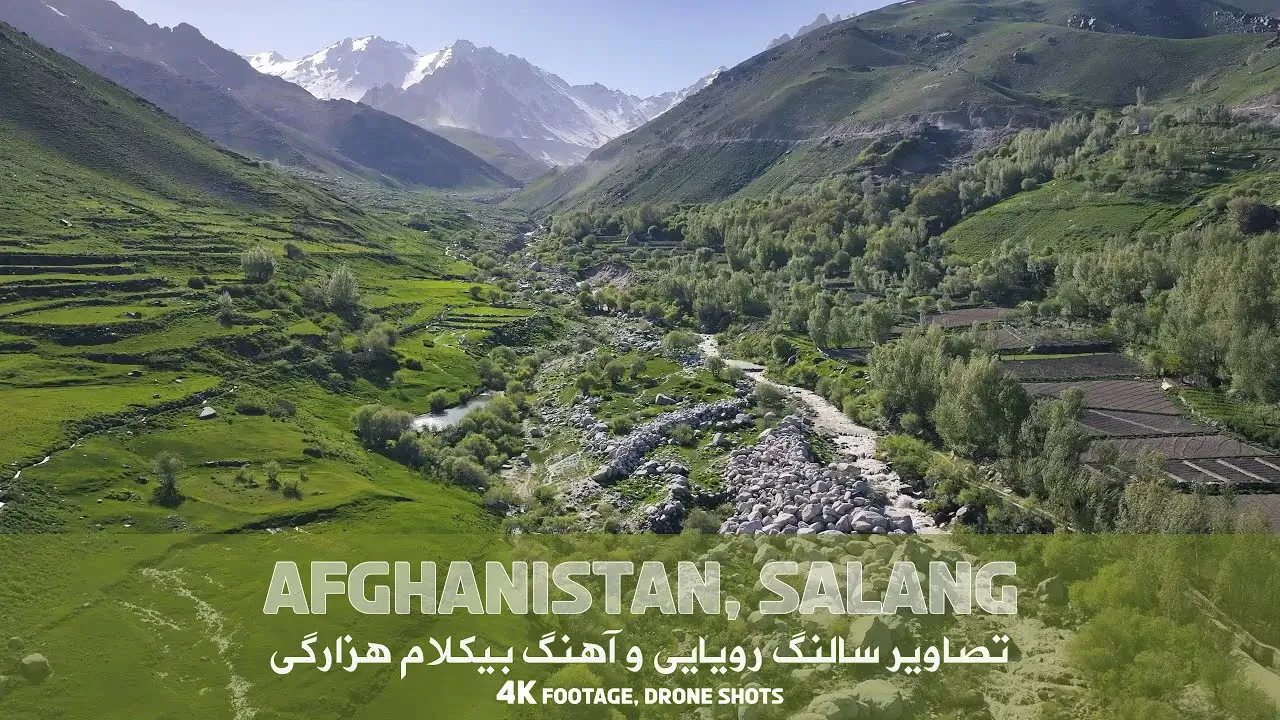 Salang Drone